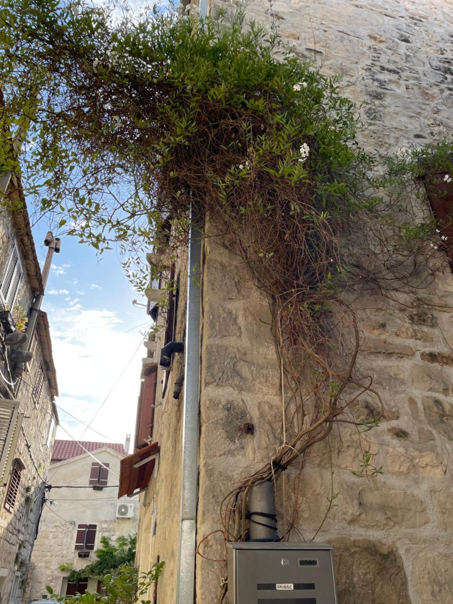 Kaštela Apartman Pundinica מראה חיצוני תמונה