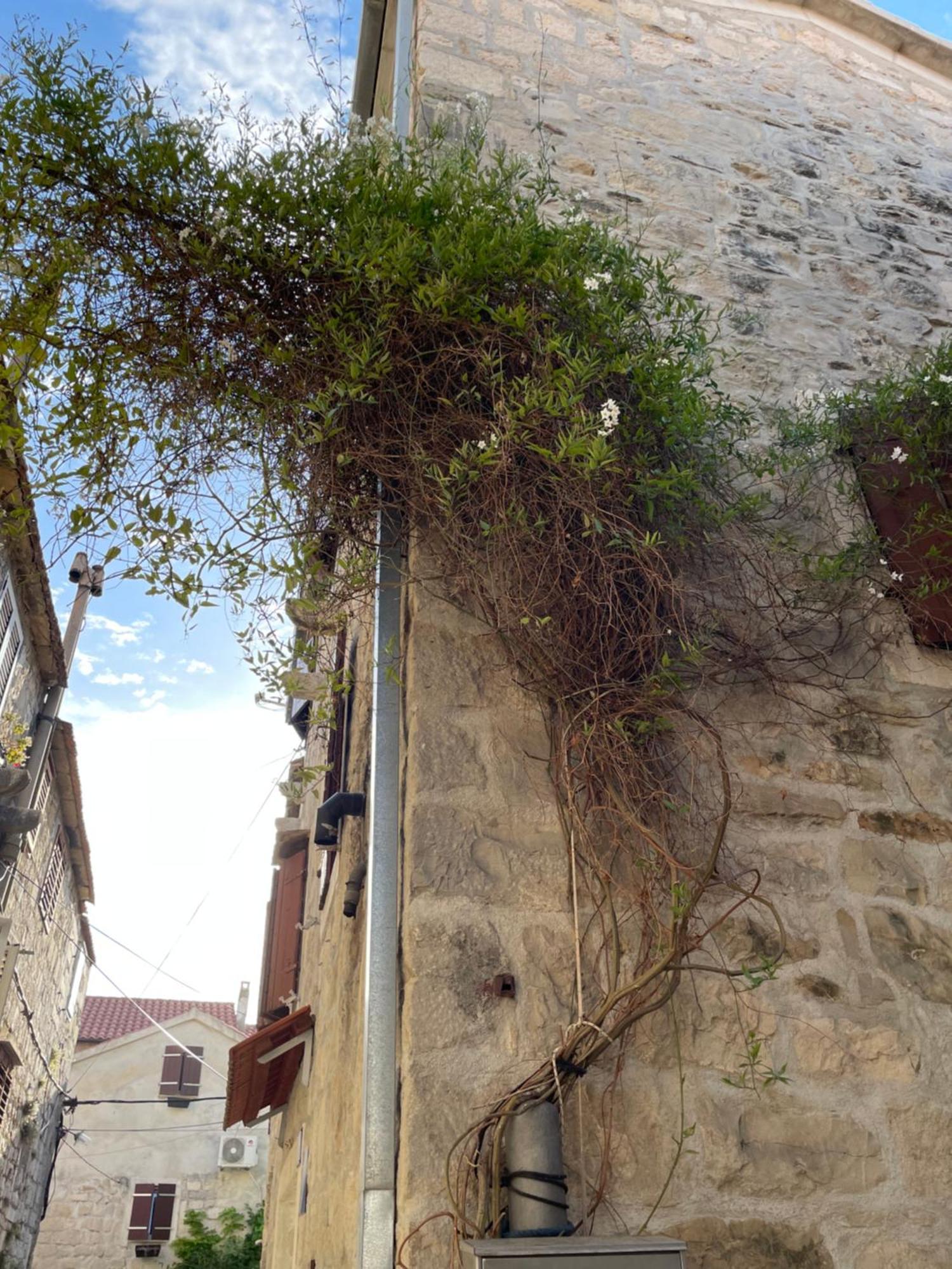 Kaštela Apartman Pundinica מראה חיצוני תמונה
